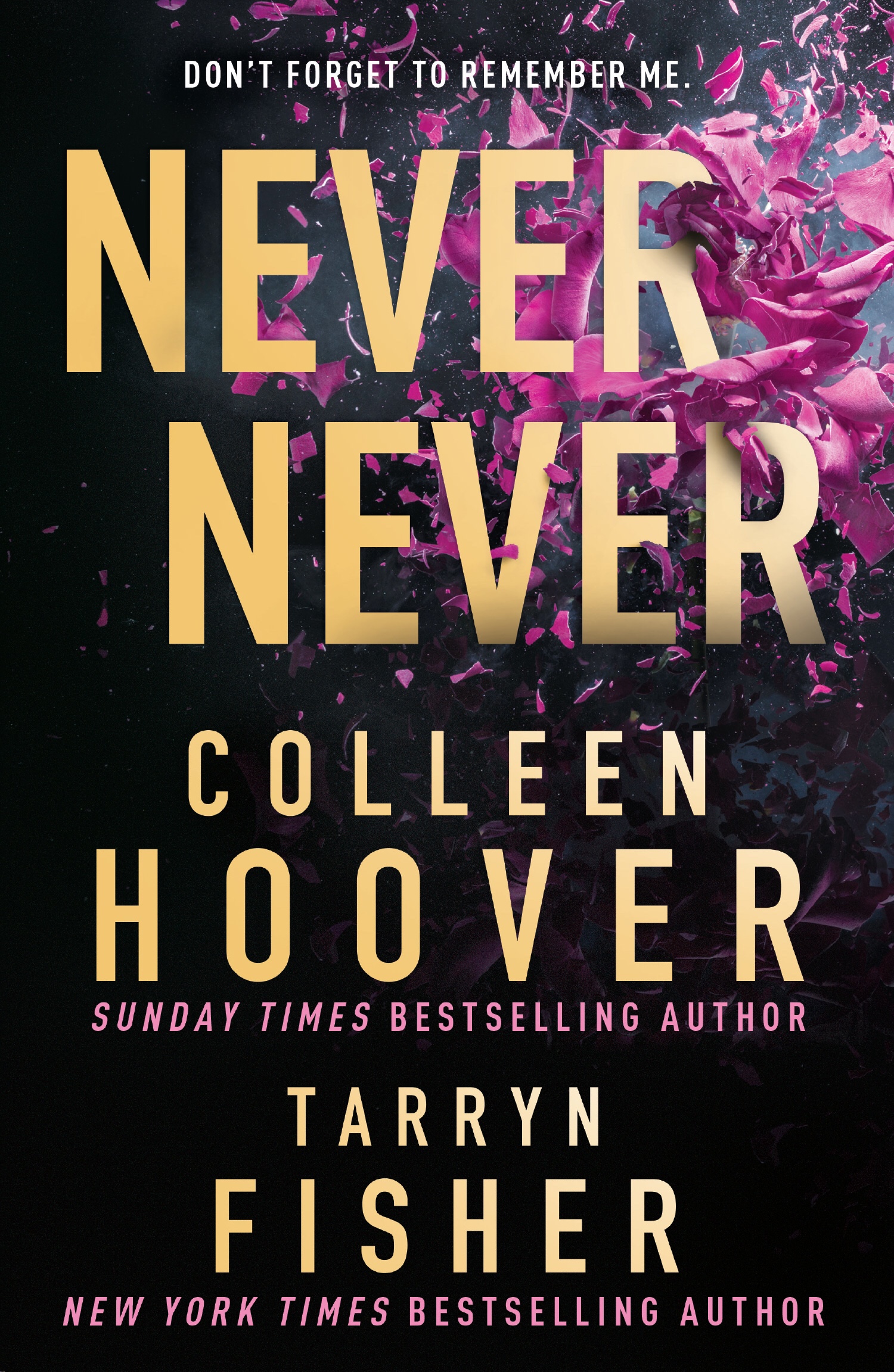 Never Ever by Colleen Hoover and Tarryn Fisher. First Chapter Preview ...