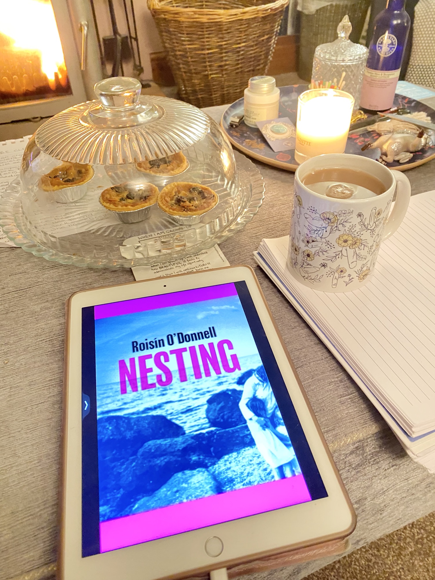 Nesting by Roisin O’Donnell – The Lotus Readers